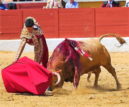 Juan de Castilla: Volver Para Jugarse la Vida